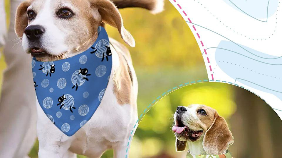 What Is Sublimation Printing for Pet Products