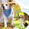 Premium Adjustable Sublimation Pet Bandana
