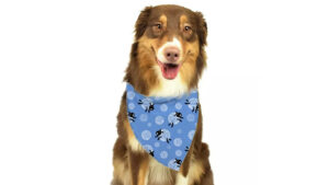 Specialty Sublimation Blanks for Pet Products Markets