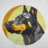 Sublimation Dog Shirts Outwear