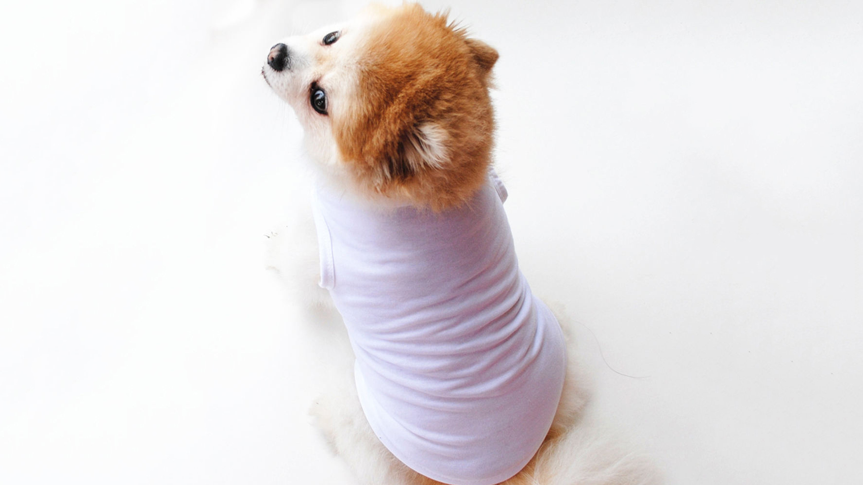Sublimation in the Pet Market